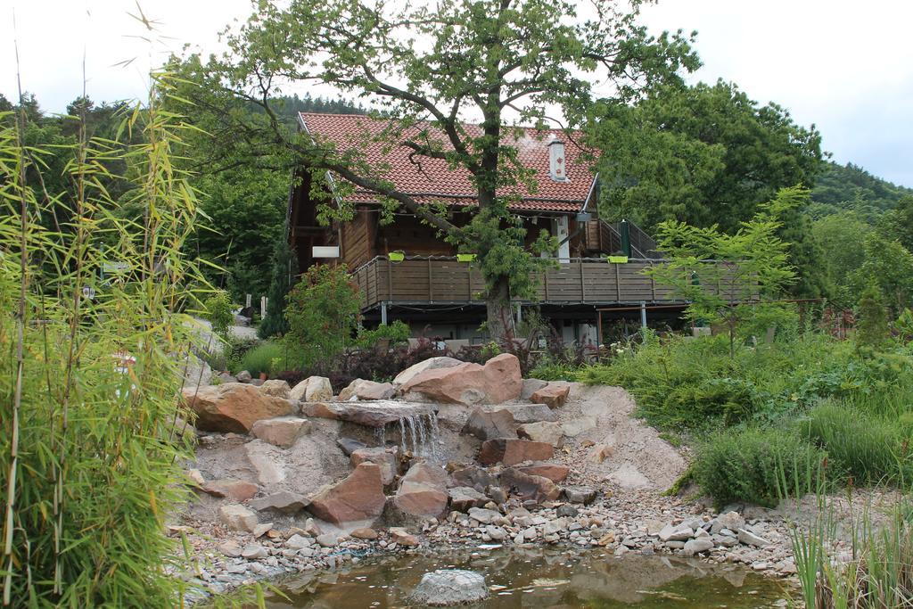 Kastanienhof Apartment Hotel Dannenfels エクステリア 写真